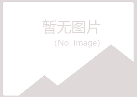 柳州鱼峰夏日会计有限公司